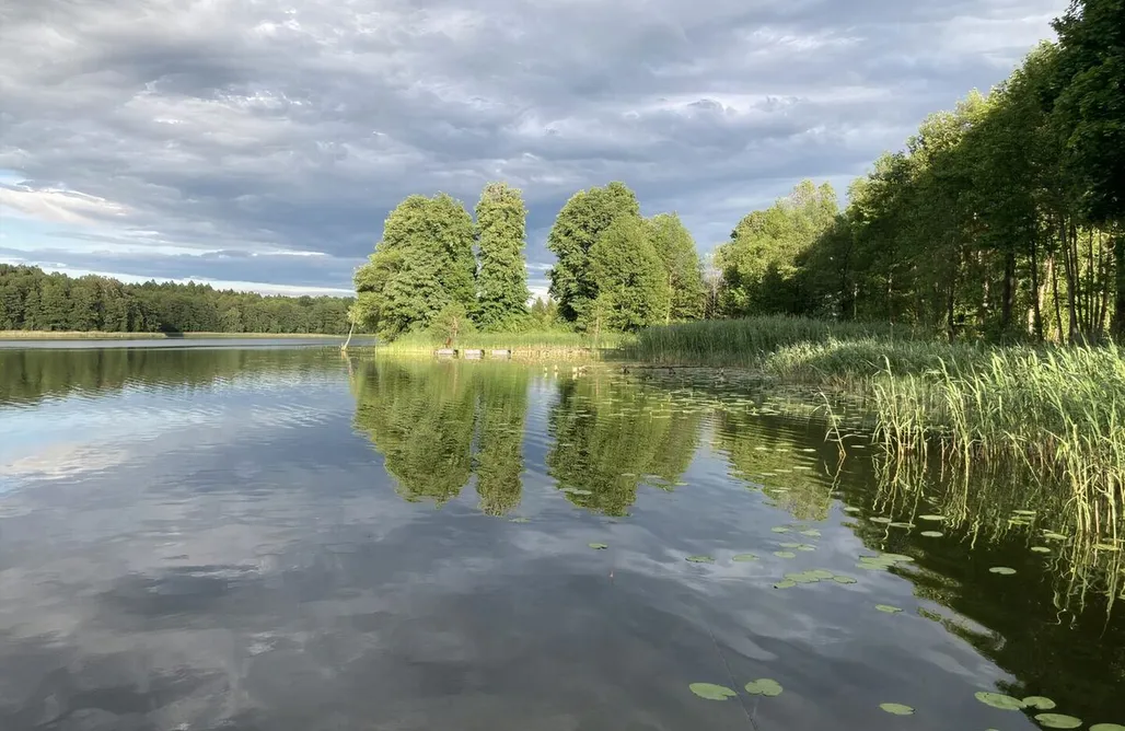 Alloggi AlohaCamp Cisy Resort I - ogrodzony teren na wyłączność 4