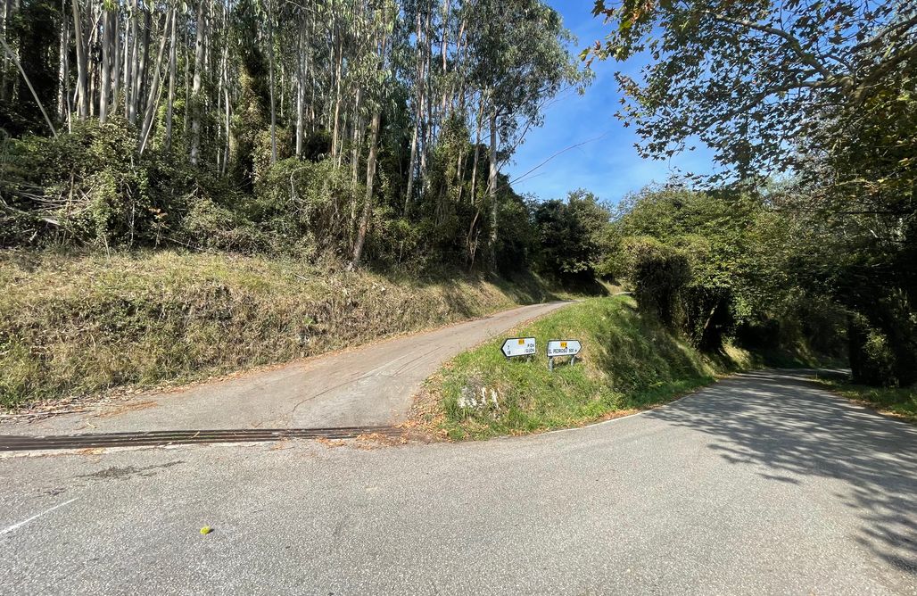 AlohaCamp Alojamiento rural 1