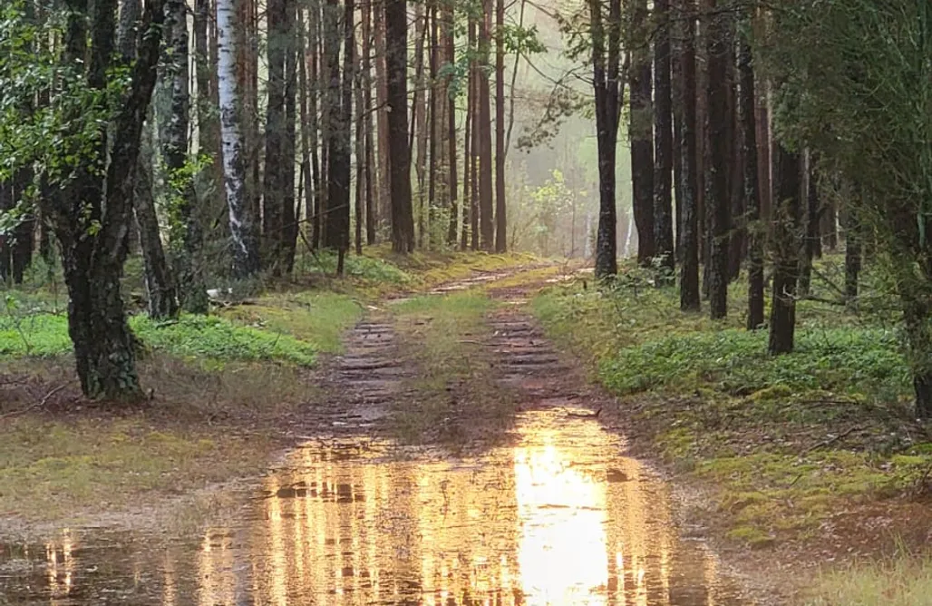 AlohaCamp Siedlisko Czajków 122 1
