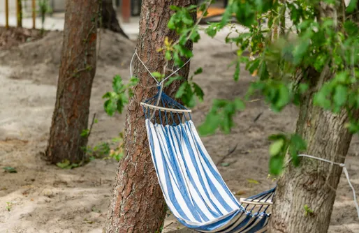 Zdjęcie obiektu Baltic Forest