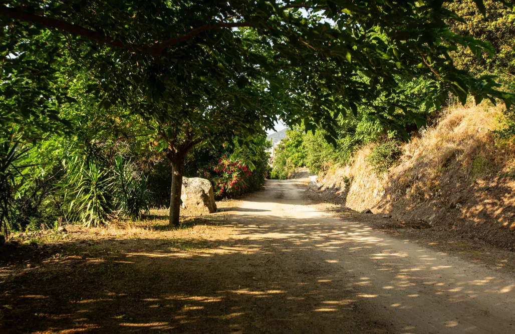 Agriturismo Sardegna Costa di sognu gites 2 épis terrasse  3
