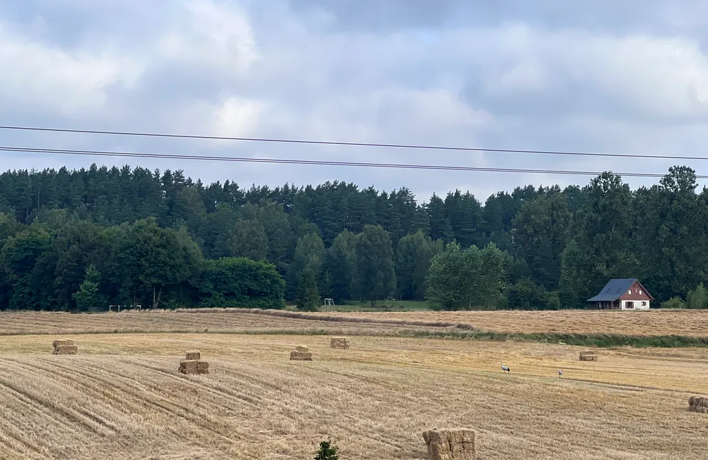 noclegi AlohaCamp Miejsce Kamperowe - Pole z Widokiem  4