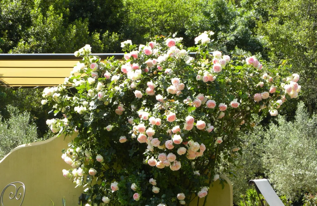 noclegi AlohaCamp La Bergerie Parenthèse 5