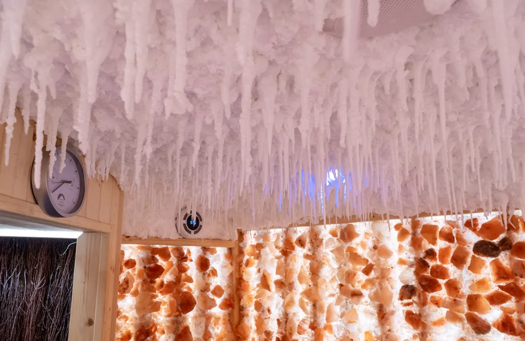 AlohaCamp Solankowe Zacisze Żmiąca 1