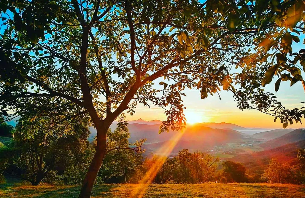 AlohaCamp La Barraca 1