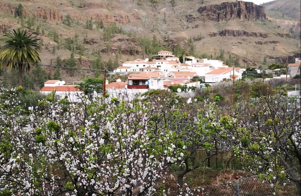 noclegi AlohaCamp Tiny House Antonio 1