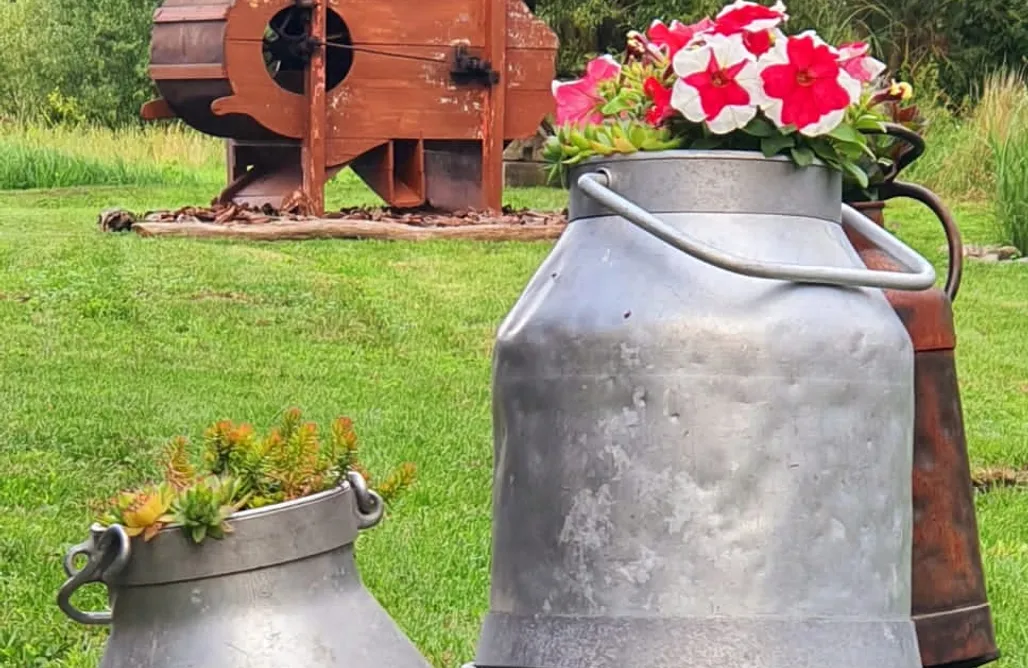 AlohaCamp Wygwizdowo  1