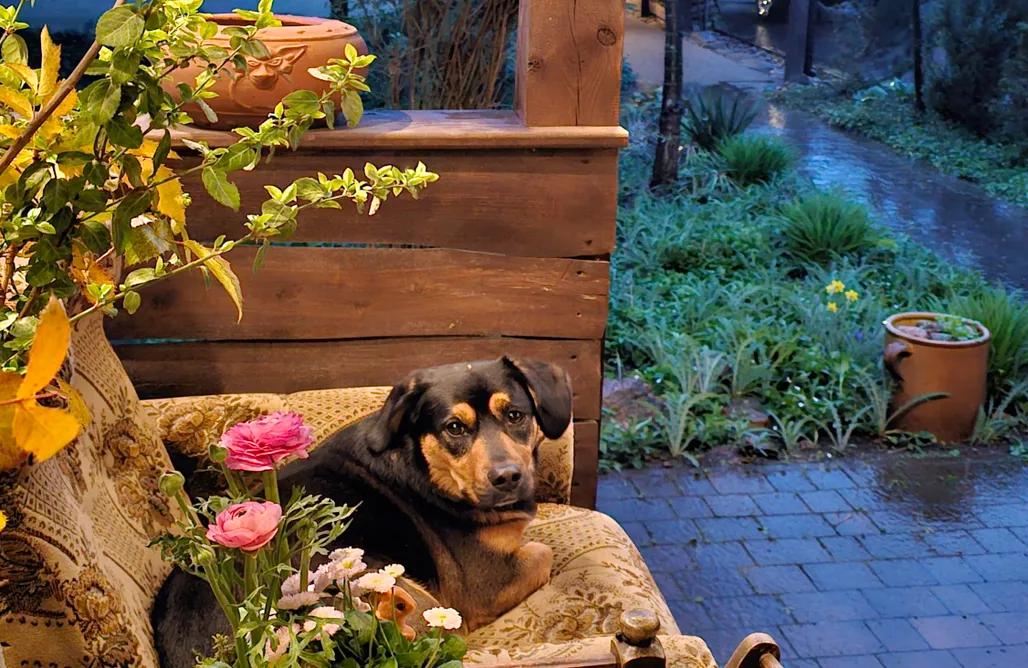 noclegi AlohaCamp Ranczo Przyłęk 5