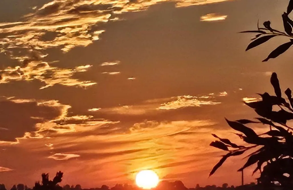 Ferienhaus direkt am Strand Tiny Haus Boddenblick 1